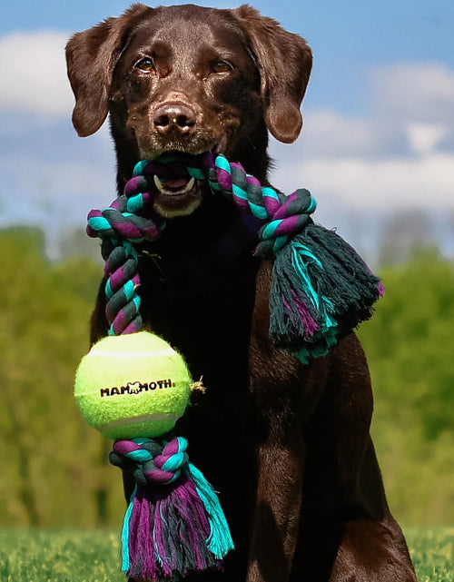 Load image into Gallery viewer, Flossy Chews Cottonblend 3 Knot Tug with 4&quot; Tennis Ball Rope Dog Toy, Large, 24&quot;, Assorted Colors
