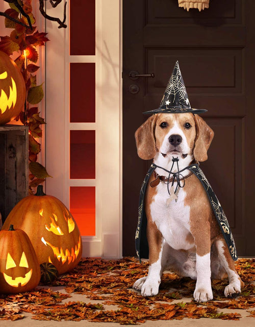 Load image into Gallery viewer, Pet Halloween Costumes Cape with Wizard Hat Dog Cat Halloween Apparels
