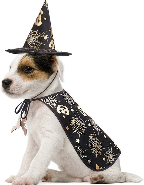 Load image into Gallery viewer, Pet Halloween Costumes Cape with Wizard Hat Dog Cat Halloween Apparels
