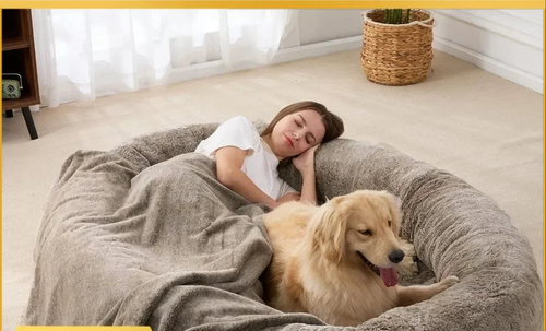 Load image into Gallery viewer, Large Human Dog Bed Bean Bag Bed for Giant Beanbag Dog Bed with , Families, Pets,72&quot;X48&quot;X10&quot; (Brown)Freight Free
